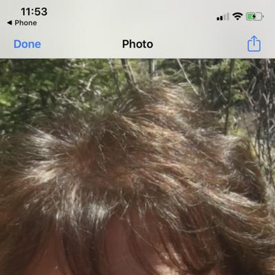 Community member avatar