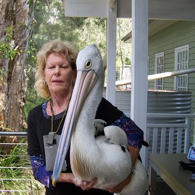 Community member profile picture