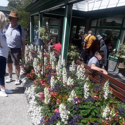 Community member profile picture 8