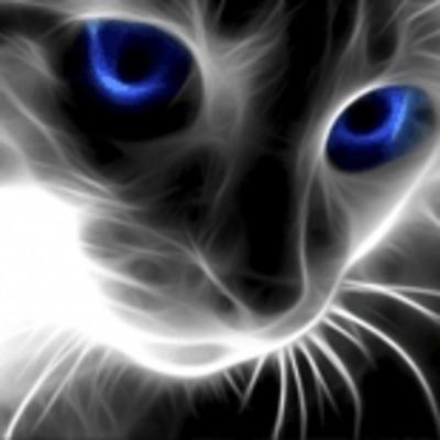 Community member profile picture 8