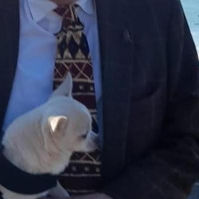 Community member profile picture 5