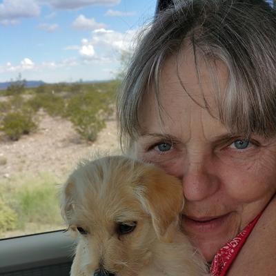 Community member profile picture 8