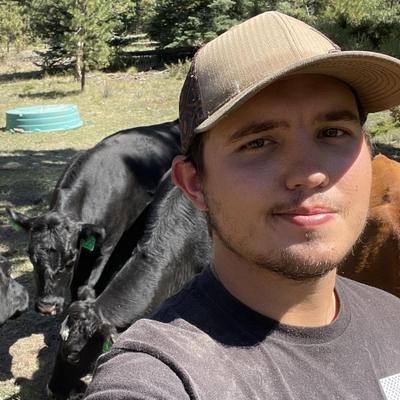 Community member profile picture 9