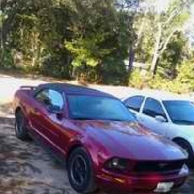 Community member profile picture