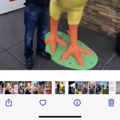 Community member profile picture