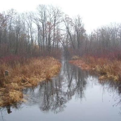 Community member profile picture 3