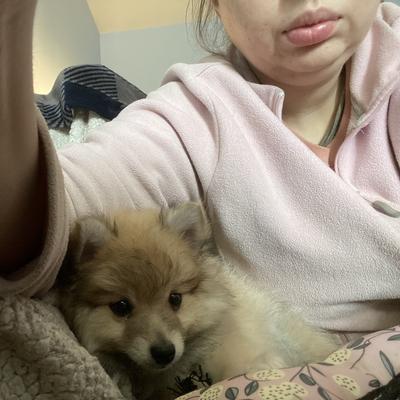 Community member profile picture