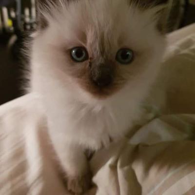 Community member profile picture