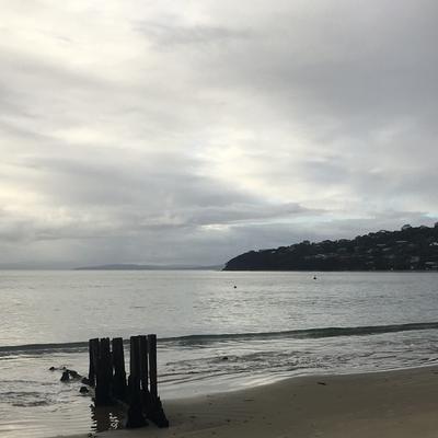 Community member profile picture 8