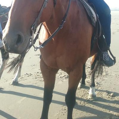 Community member profile picture 9