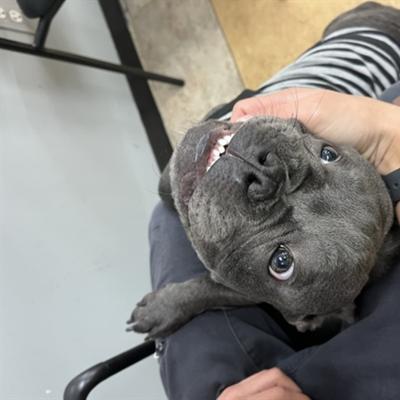 Community member profile picture 3