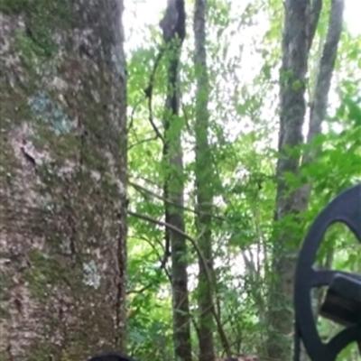 Community member profile picture 1