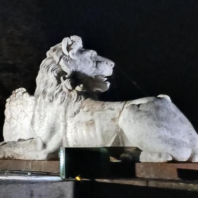 Community member profile picture 3