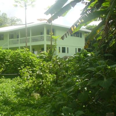 Community member profile picture 5