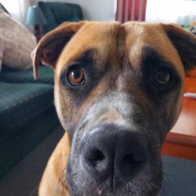 Community member profile picture