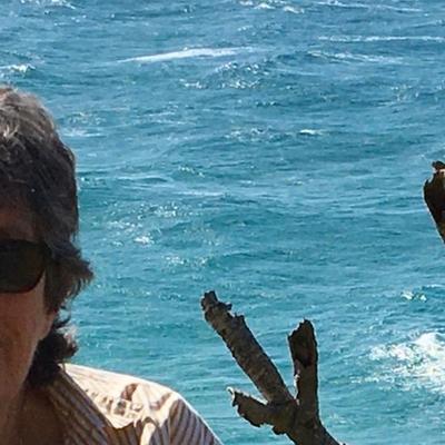 Community member avatar