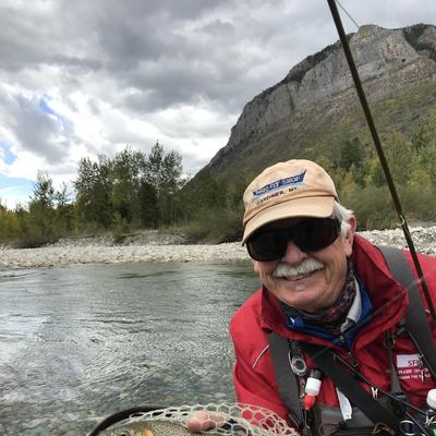 Community member profile picture 5