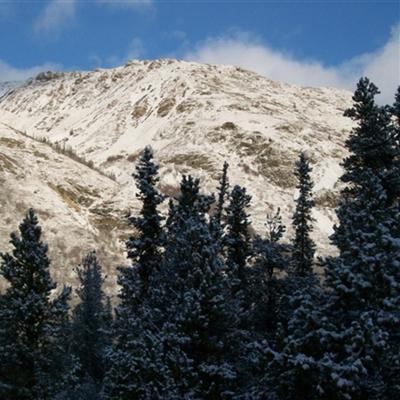 Community member profile picture 5
