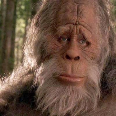 Community member profile picture 1