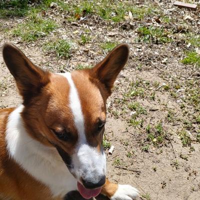 Community member profile picture 10