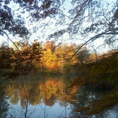 Community member profile picture 5