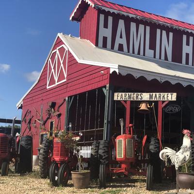 Community member profile picture 9