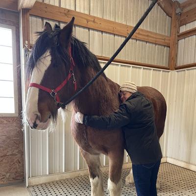 Community member profile picture