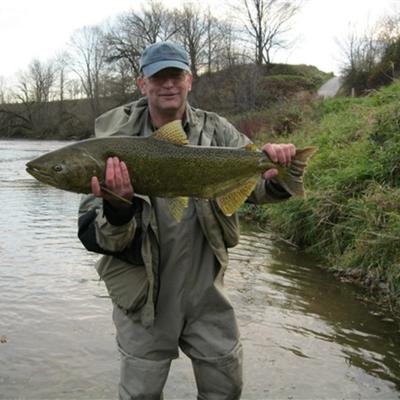 Community member avatar