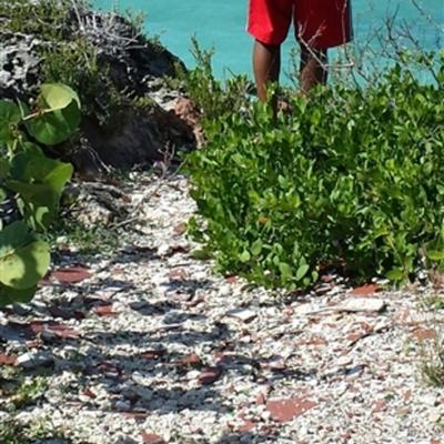 Community member profile picture 9