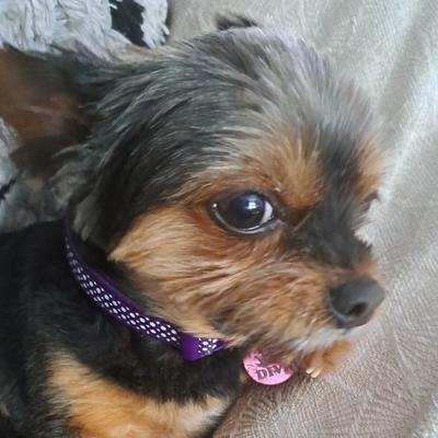 Community member profile picture 4