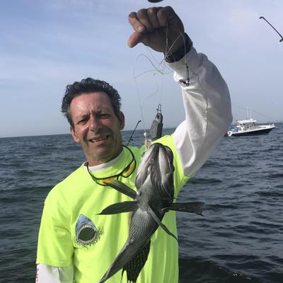 Community member profile picture