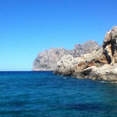 Community member profile picture 5