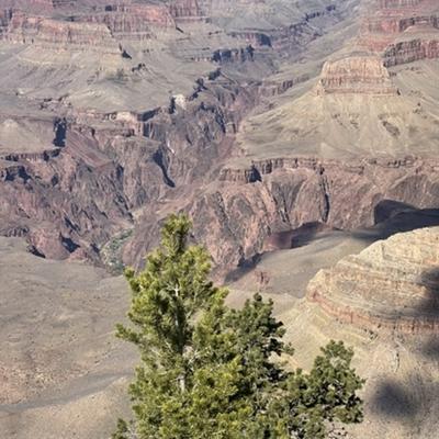 Community member profile picture 7