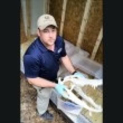 Community member profile picture 7