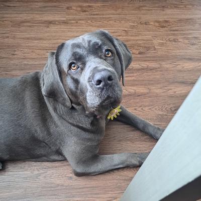 Community member profile picture