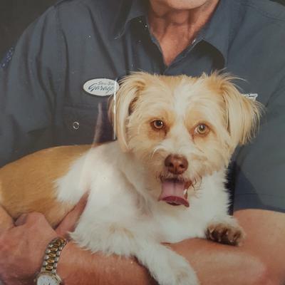 Community member avatar