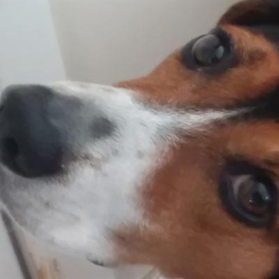 Community member avatar