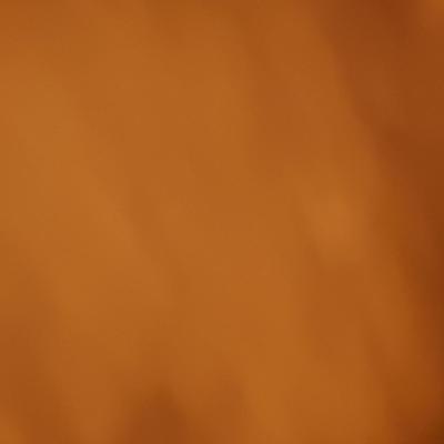 Community member profile picture 8
