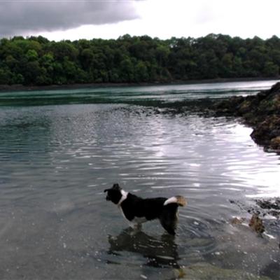 Community member profile picture 7