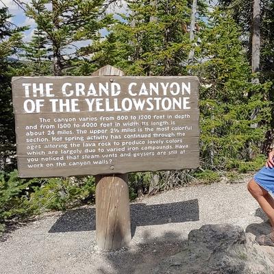 Community member avatar