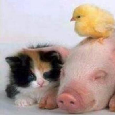 Community member profile picture