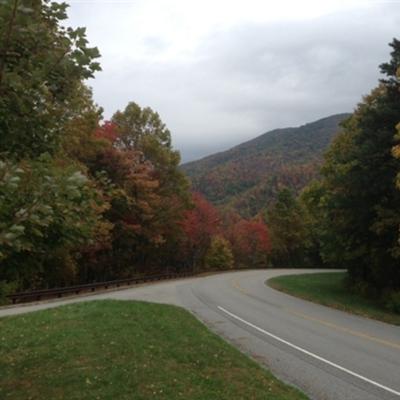 Community member profile picture 9