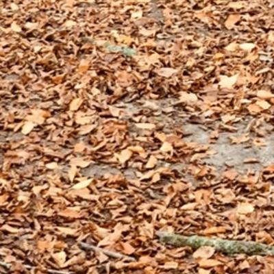 Community member profile picture 6