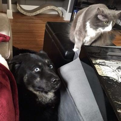 Community member profile picture 4