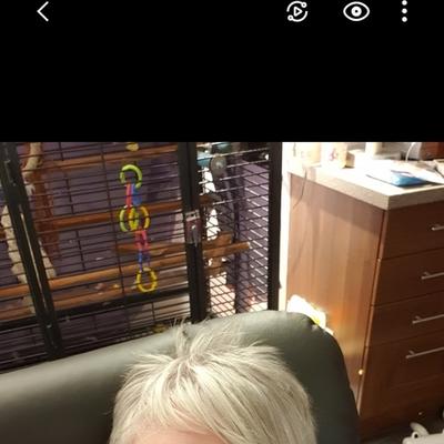 Community member profile picture 8