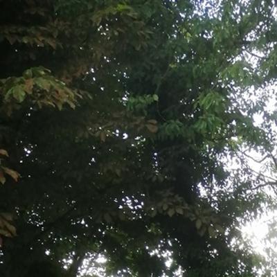 Community member profile picture 7