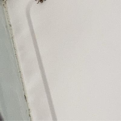 Community member profile picture 2