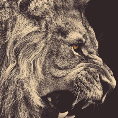Community member profile picture 3