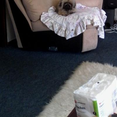 Community member profile picture 8