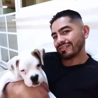 Community member avatar